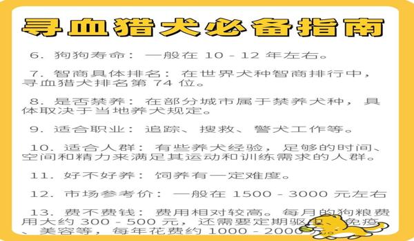三角洲如何开启寻血猎犬模式（有没有免费的三角洲寻血猎犬辅助？）